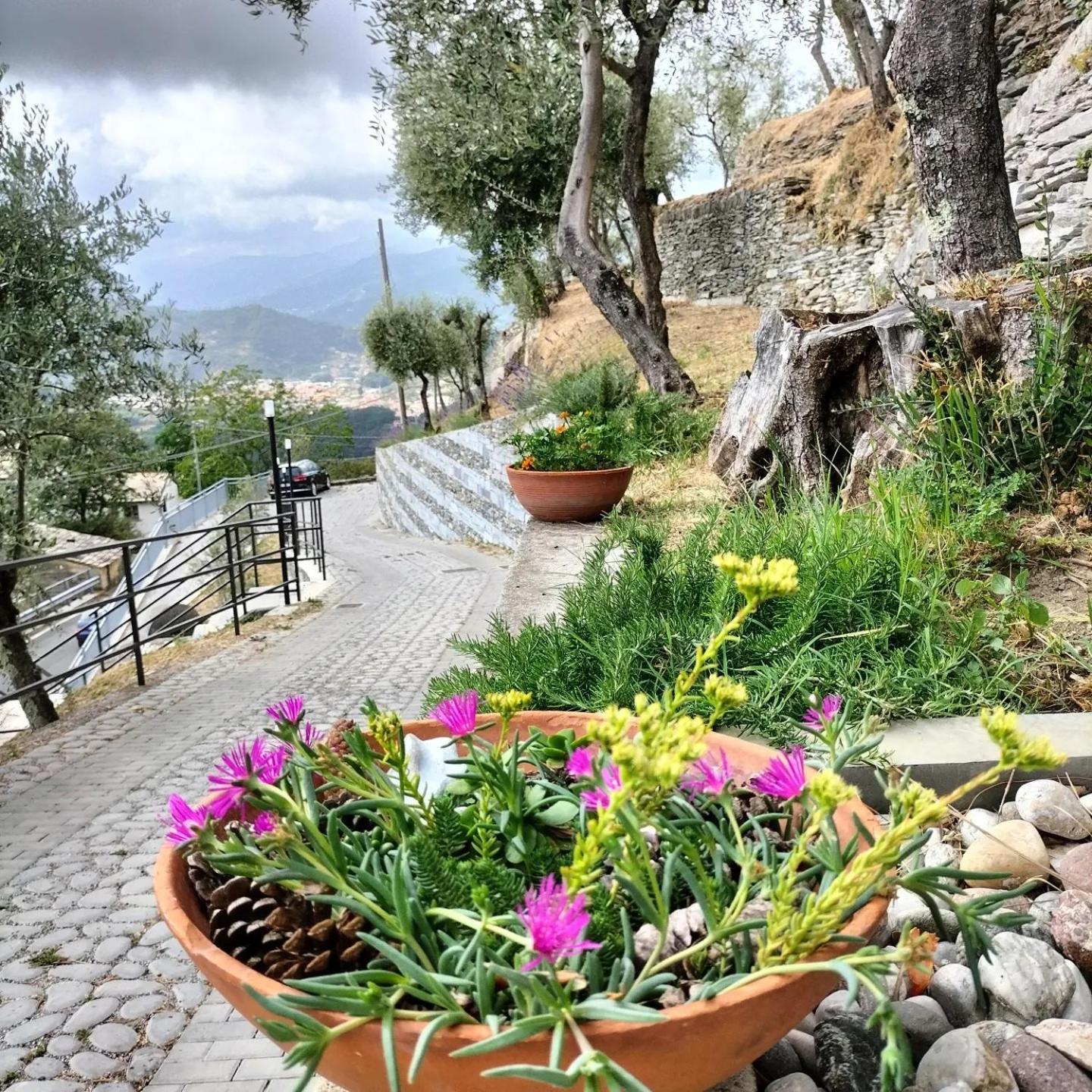 Ca' Da Tollo Ξενοδοχείο Cogorno Εξωτερικό φωτογραφία