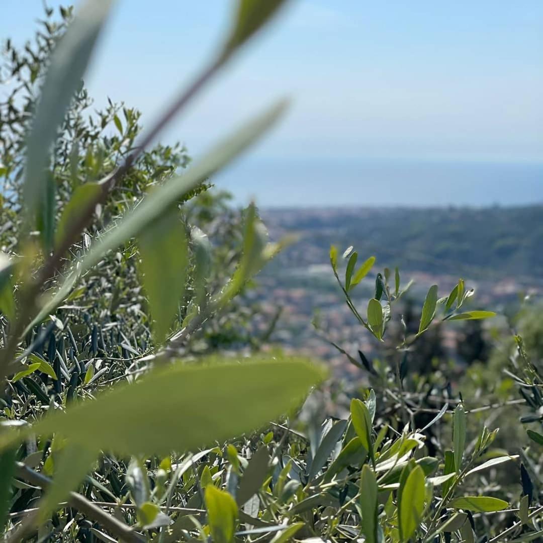 Ca' Da Tollo Ξενοδοχείο Cogorno Εξωτερικό φωτογραφία